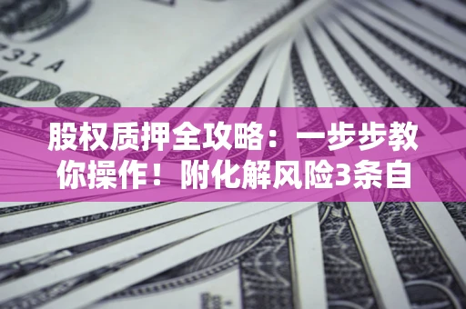 北京股权质押全攻略：一步步教你操作！附化解风险3条自救法则