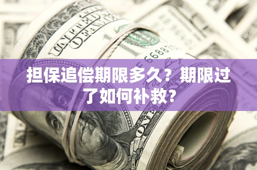 北京担保追偿期限多久？期限过了如何补救？