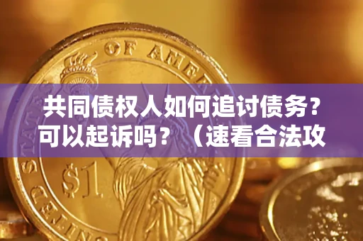 北京共同债权人如何追讨债务？可以起诉吗？（速看合法攻略）