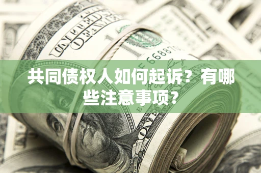 北京共同债权人如何起诉？有哪些注意事项？
